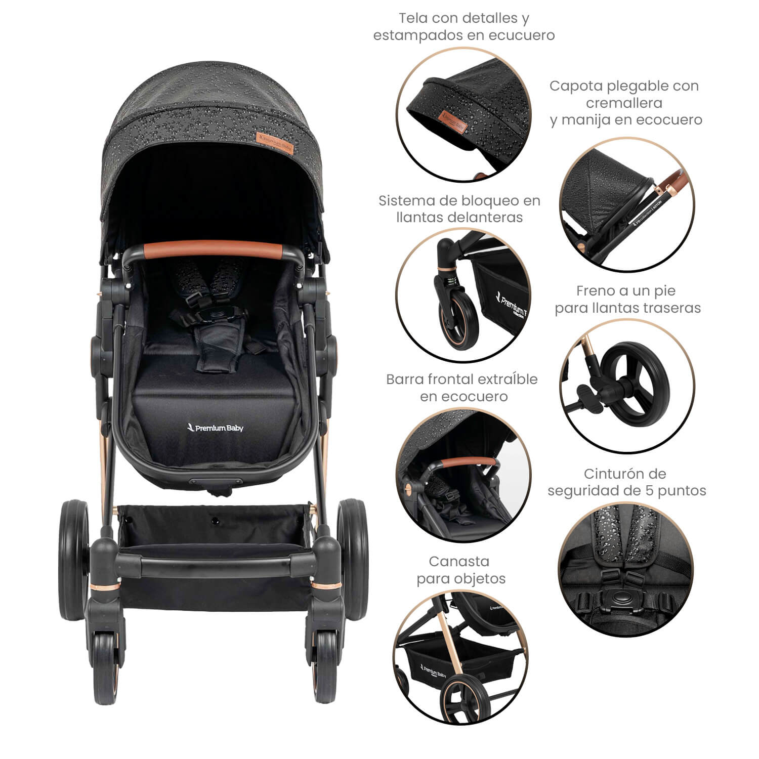 Coche Bebe Moises Aston Premium Baby Collection Negro