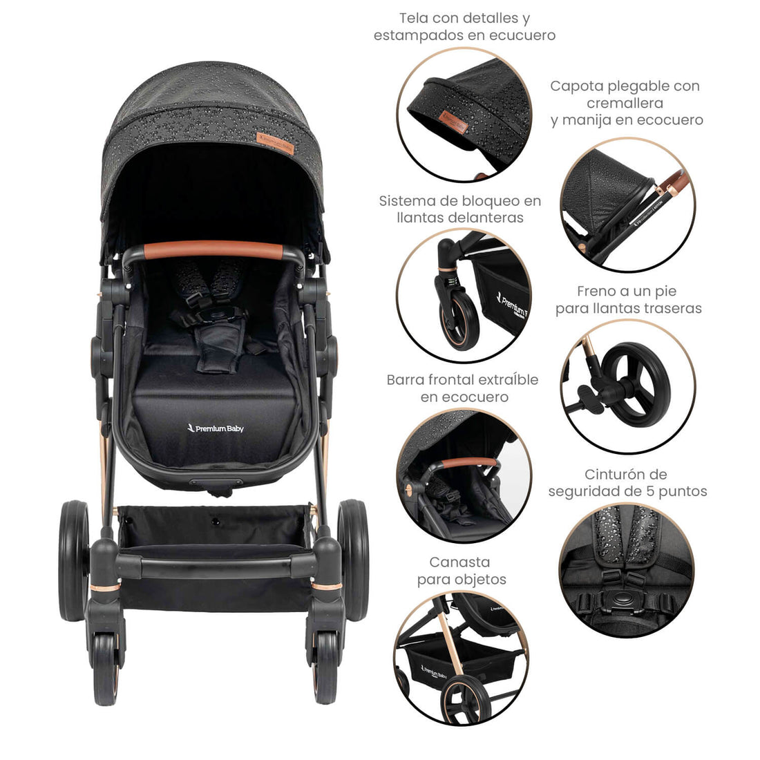 Coche Bebe Moises Aston Premium Baby Collection Negro