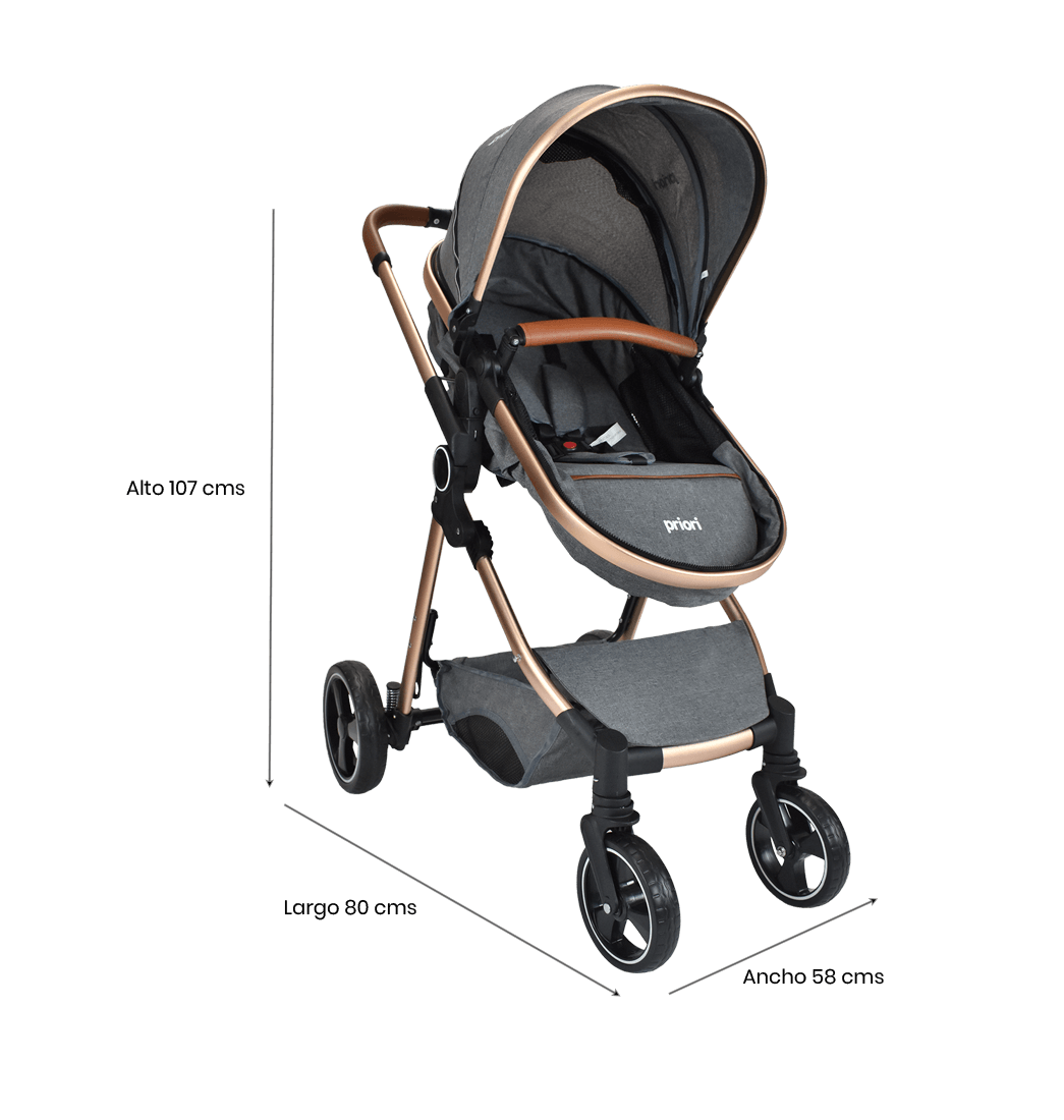 Coche Bebé Moises Ts Priori Mike Gris