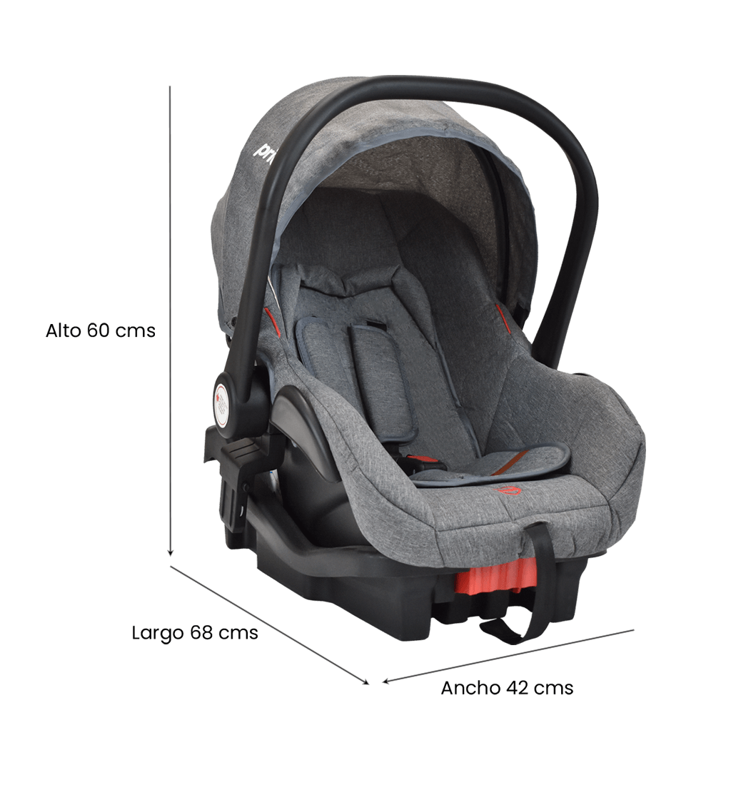 Coche Bebé Moises Ts Priori Mike Gris