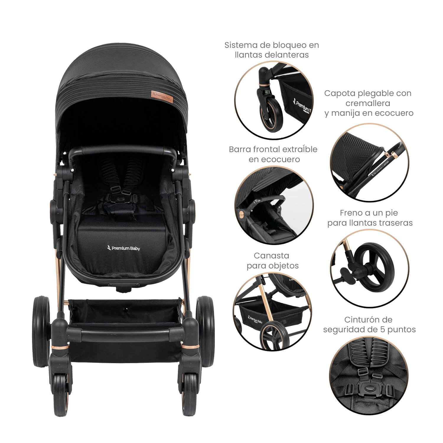 Coche Bebé Moises Aston Premium Baby Collection Negro