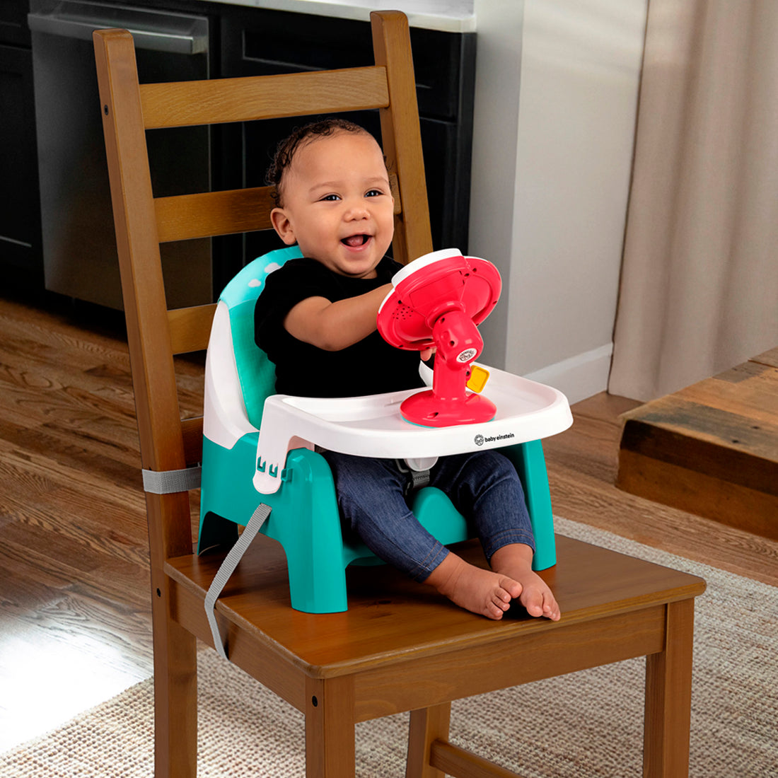 Asiento de Alimentación Baby Einstein Farm Explorers Snack & Steer17462