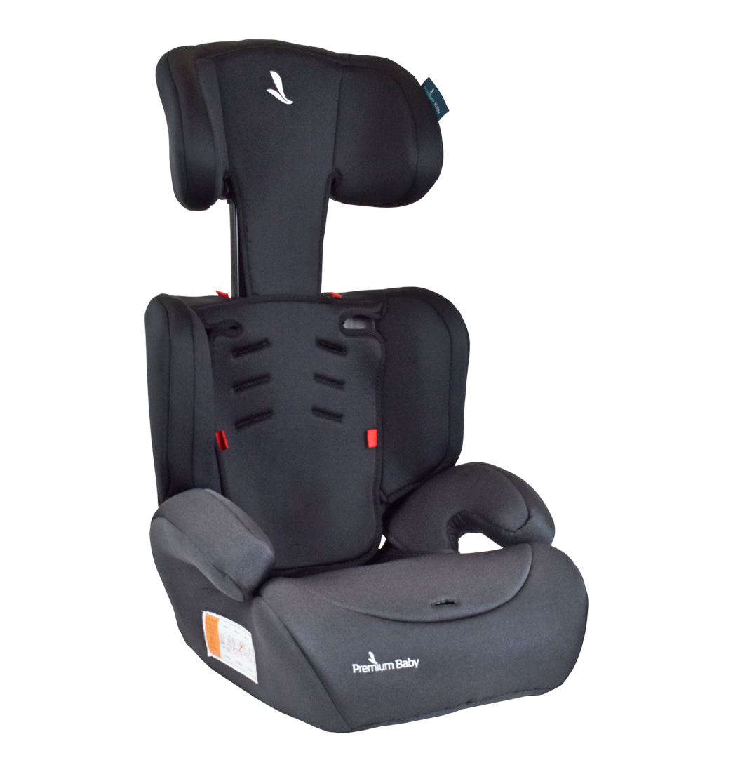Silla Carro Bebe Premium Baby Lyon Negro