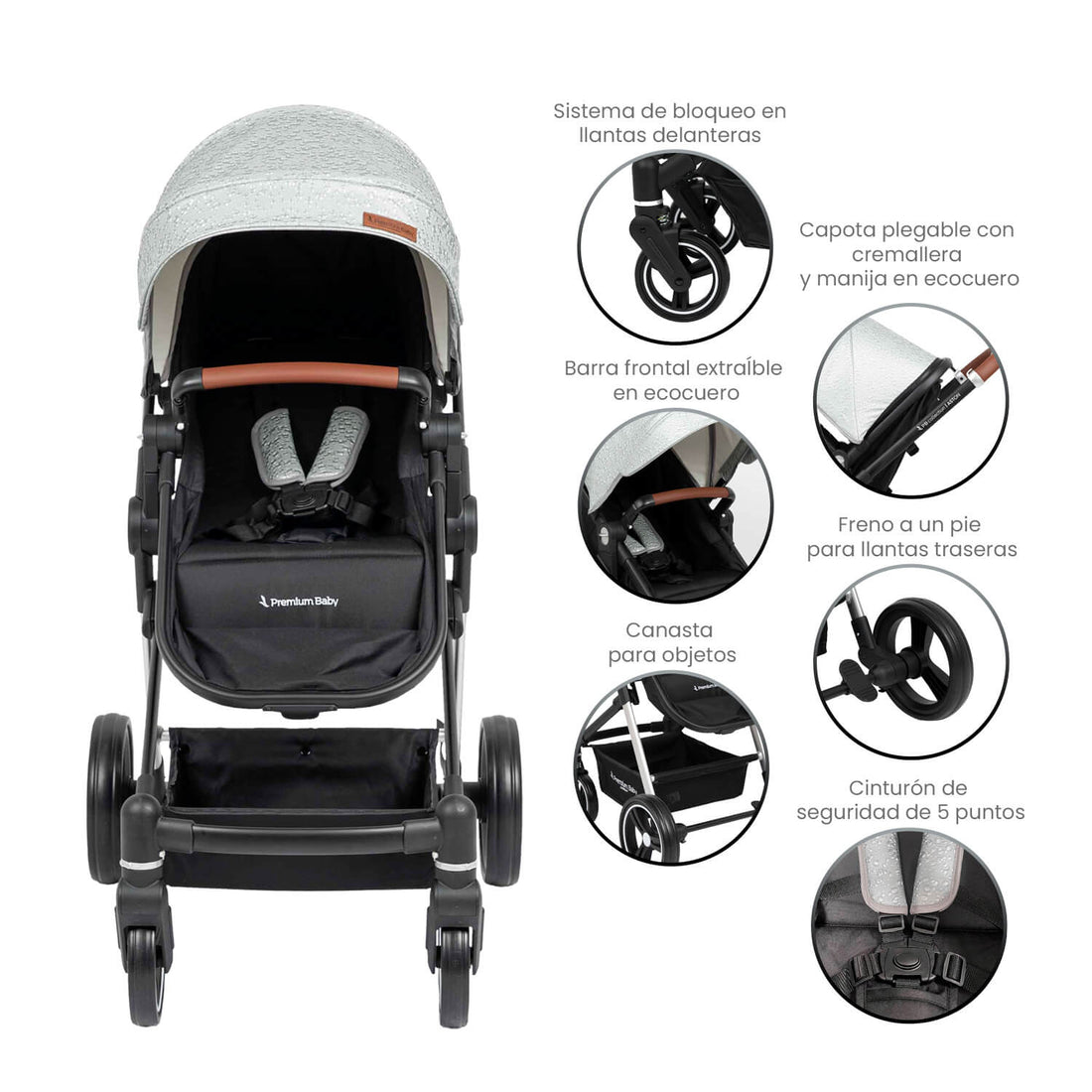 Coche Bebé Moises Aston Premium Baby Collection Gris