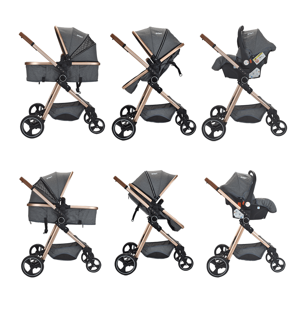 Coche Bebé Moises Ts Priori Mike Gris