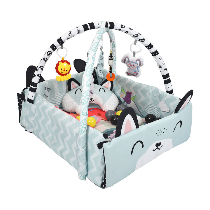 Gimnasio Actividades Con Pelotas Premium Baby PB-302FT