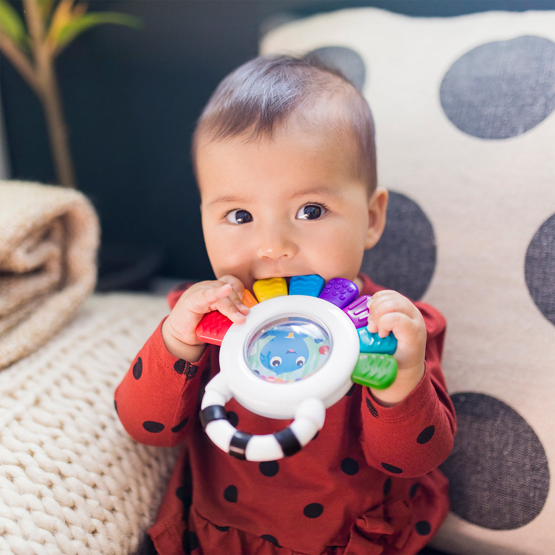 Sonajero y Mordedor Sensorial Pulpo12487  Baby Einstein