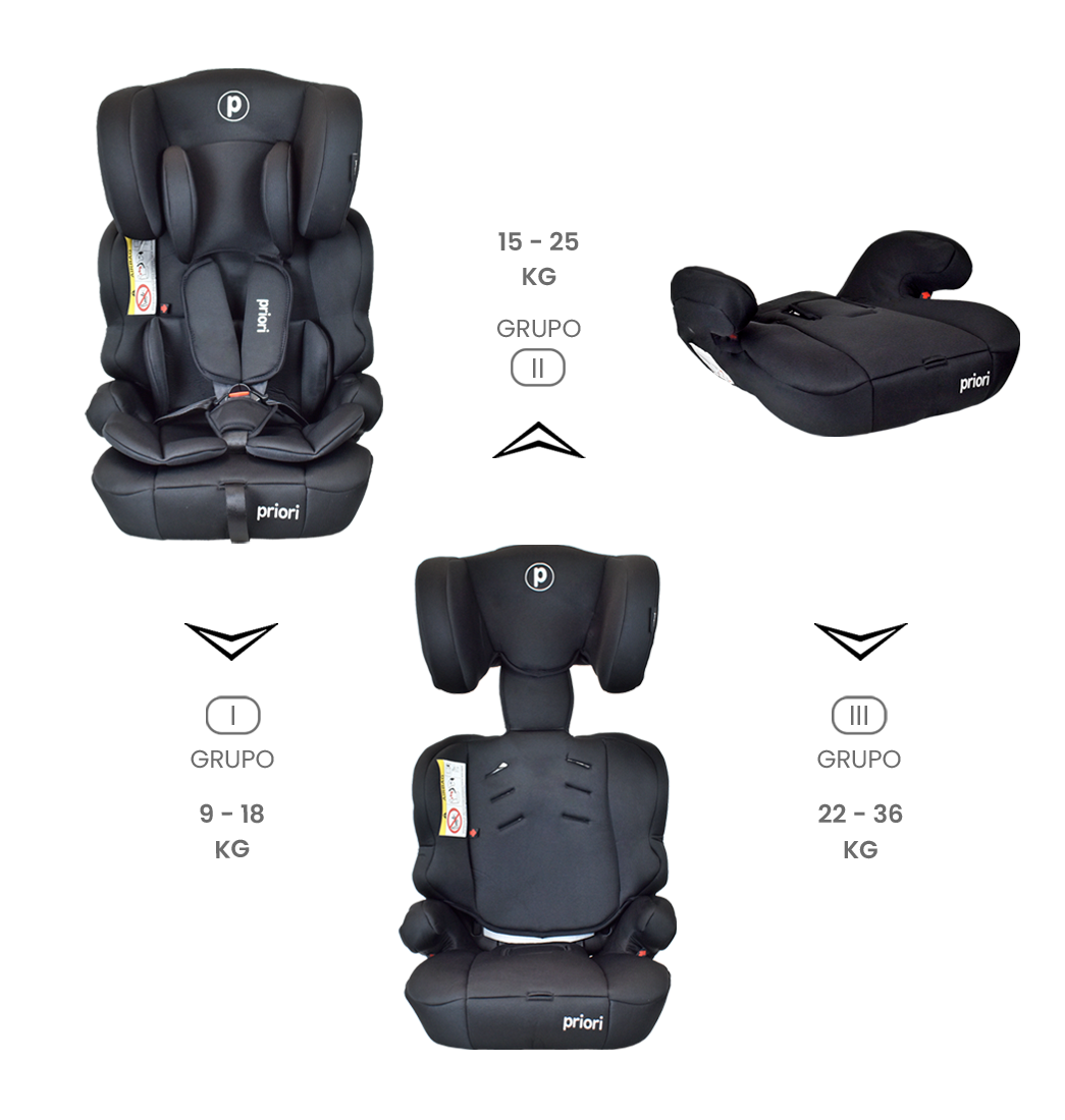 Silla Carro Bebe Premium Baby Lyon Negro
