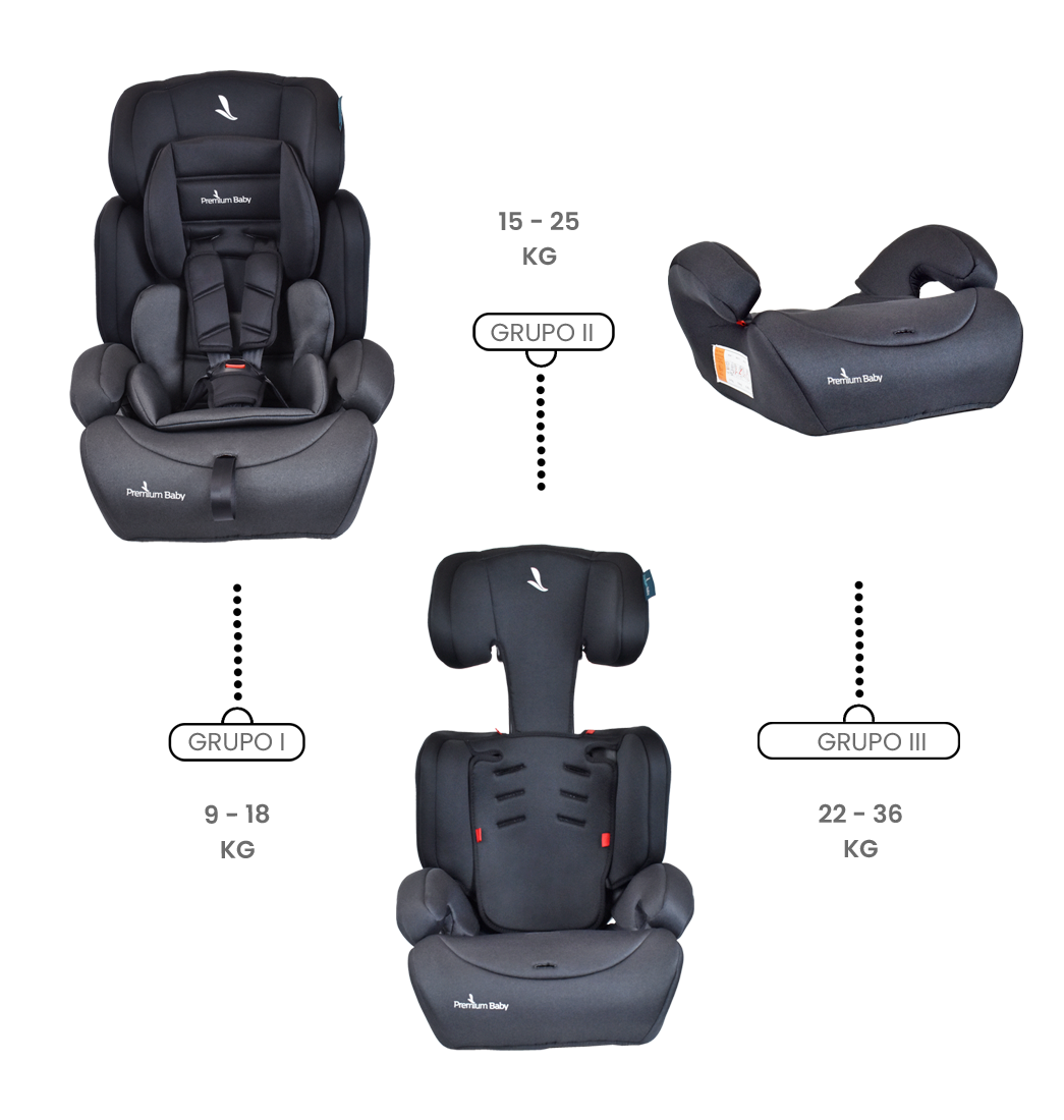 Silla Carro Bebe Premium Baby Lyon Negro