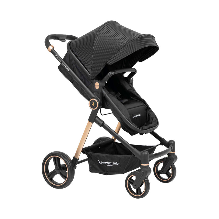 Coche Bebé Moises Aston Premium Baby Collection Negro