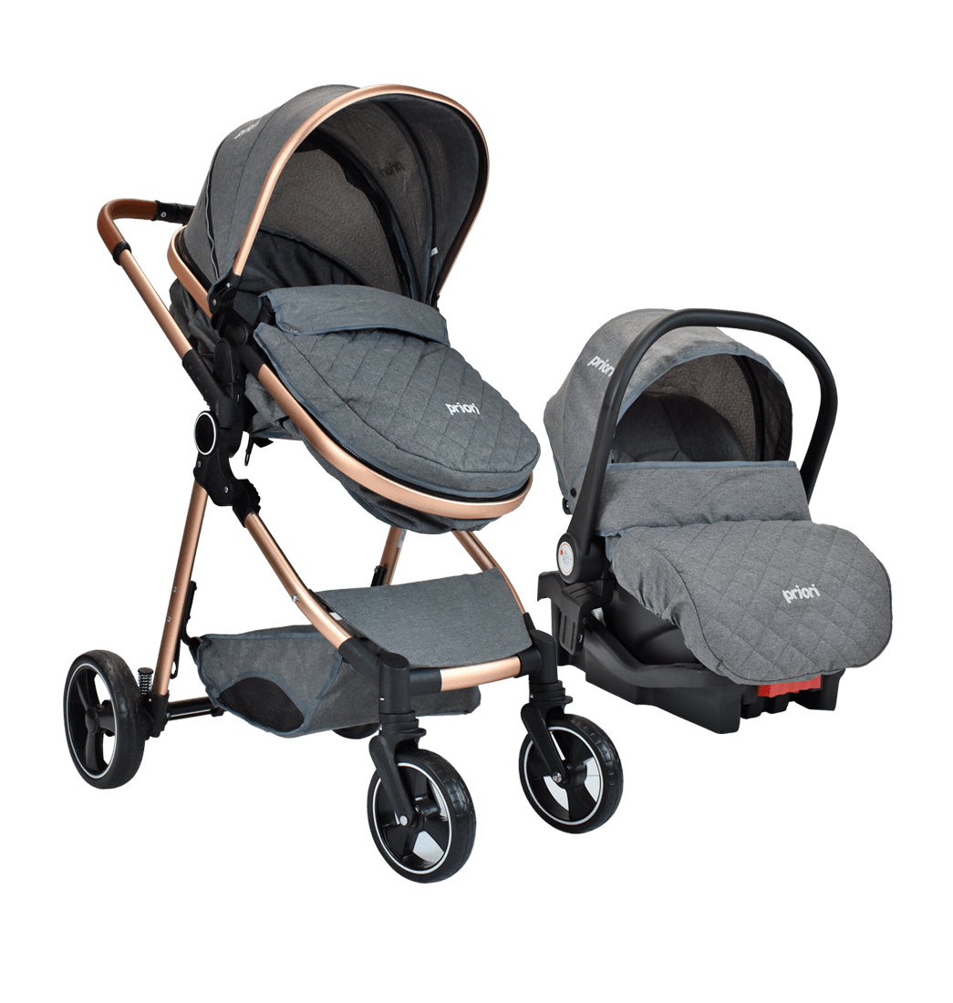 Coche Bebé Moises Ts Priori Mike Gris