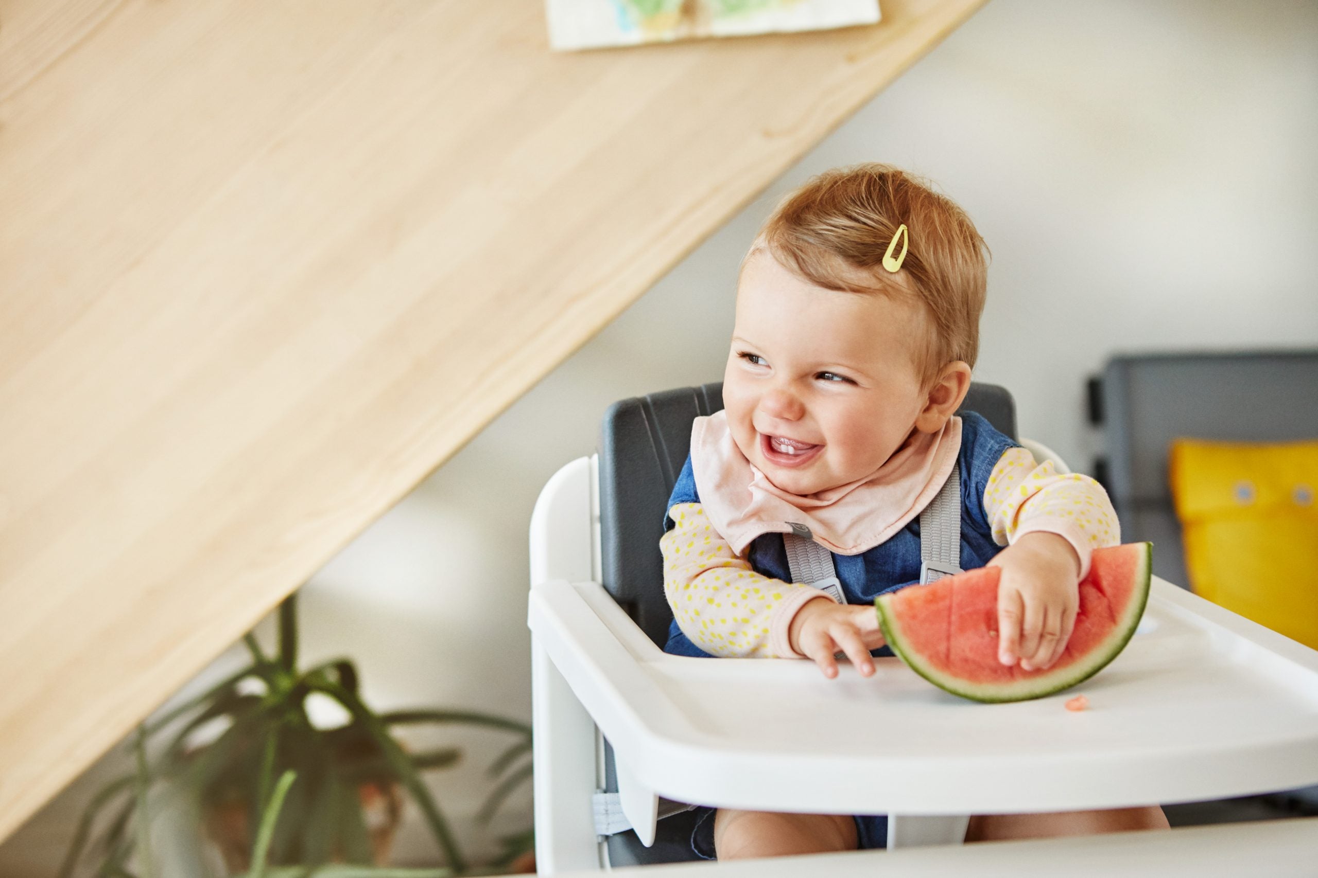 Comedor Bebe Nuna  Zaaz Pewter