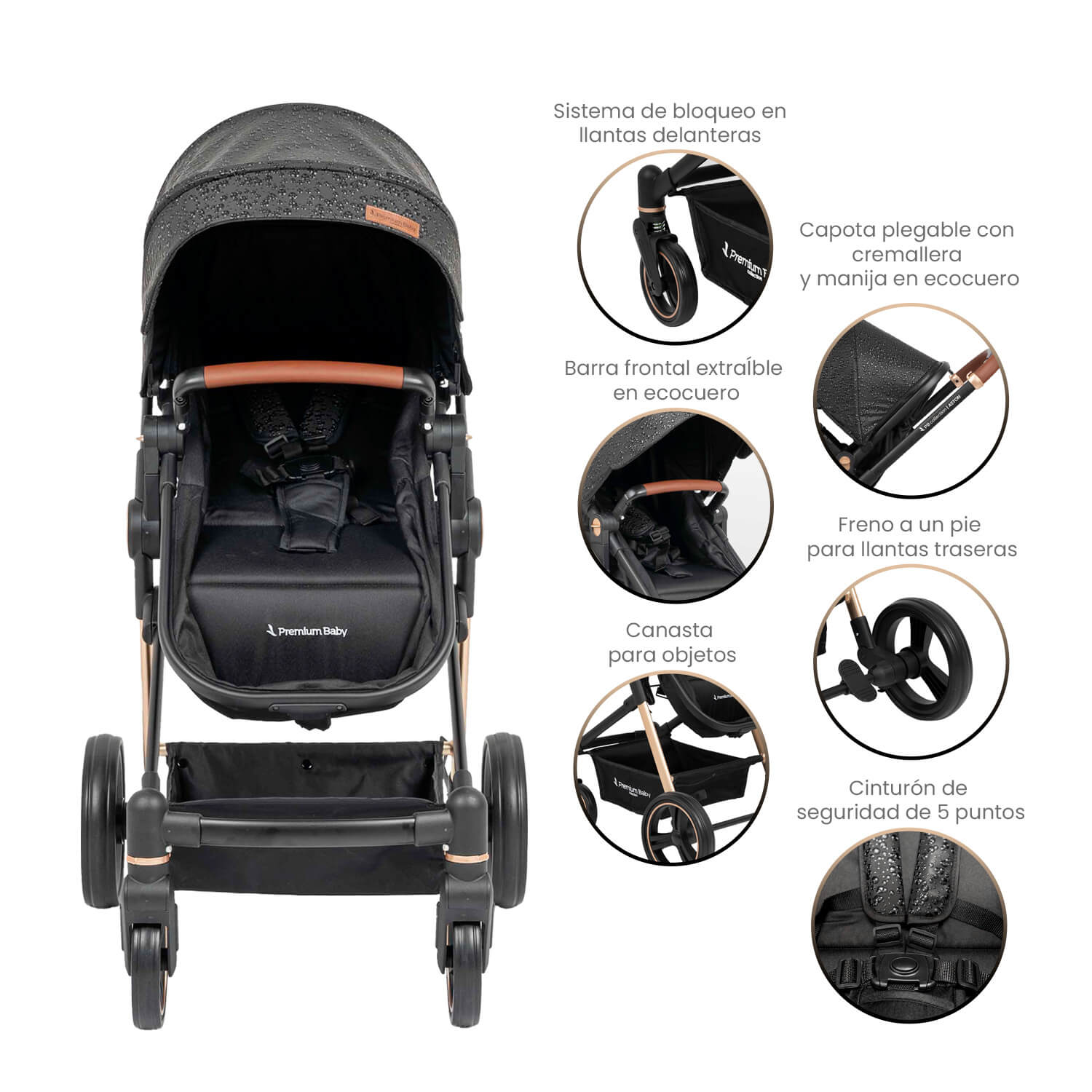 Coche Bebé Moises Aston Premium Baby Collection Negro