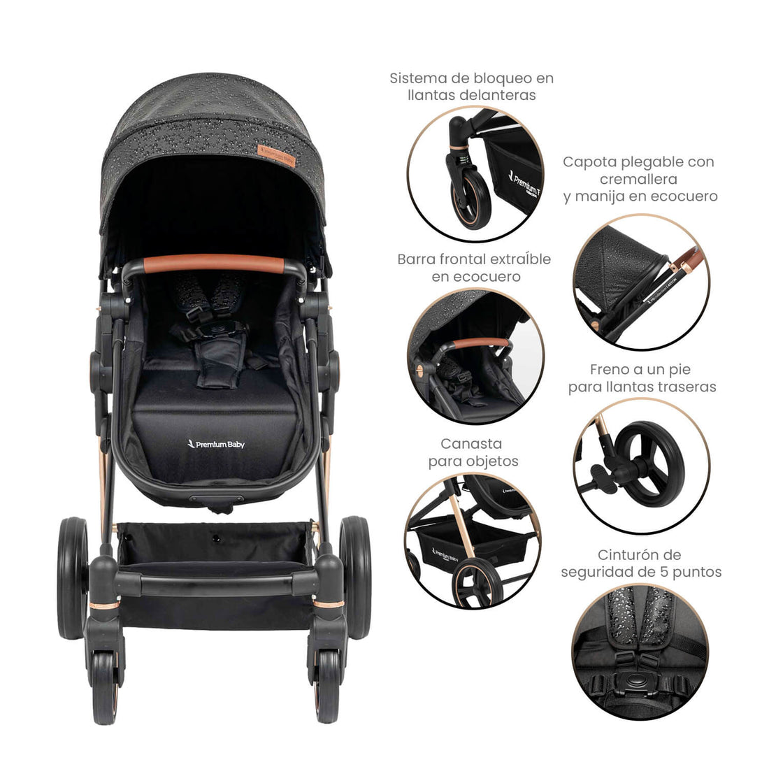 Coche Bebé Moises Aston Premium Baby Collection Negro
