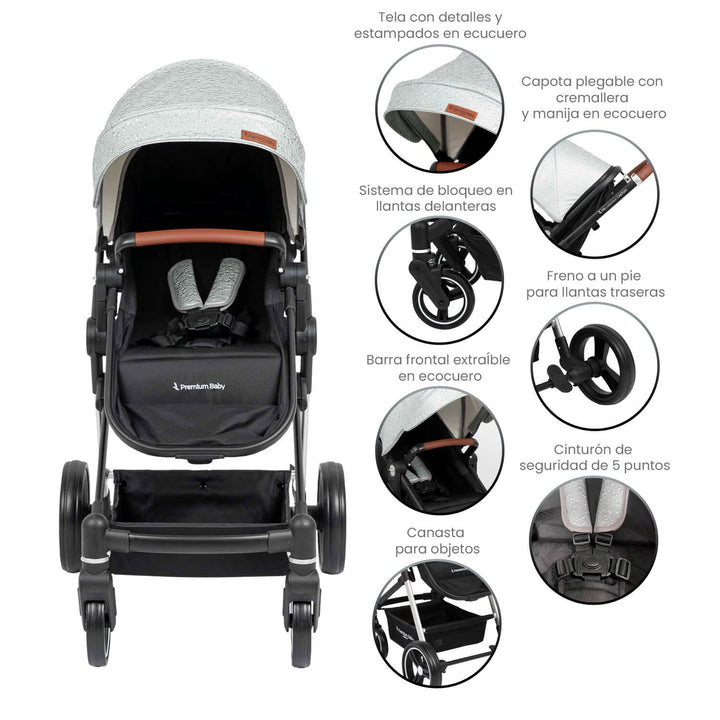 Coche Bebe Moises Aston Premium Baby Collection Gris